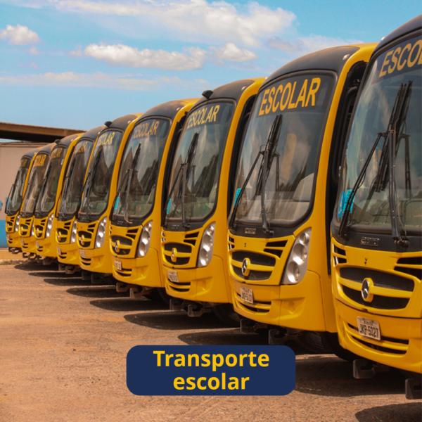 transporte escolar